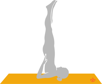 Salamba Sarvangasana